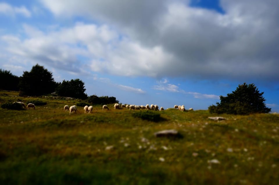 Natural landscape