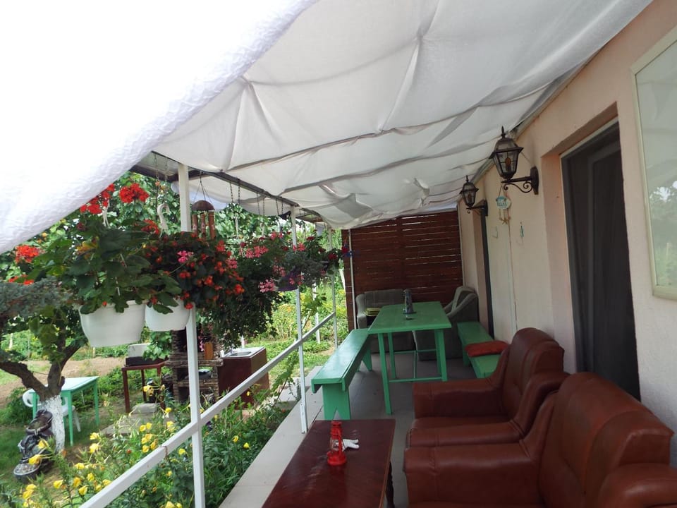 Balcony/Terrace, Evening entertainment, On site