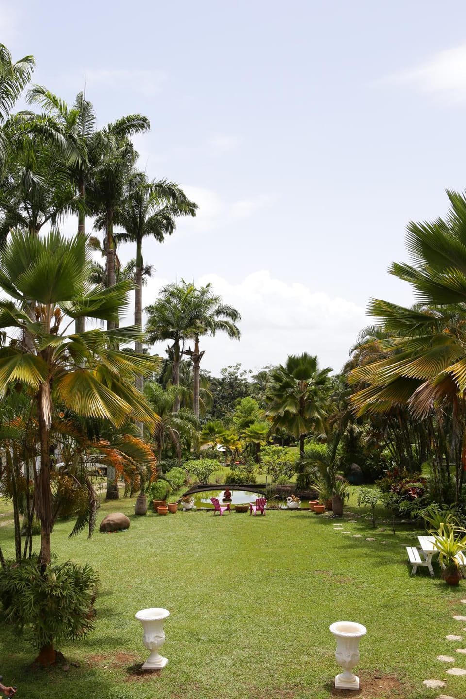 Garden view