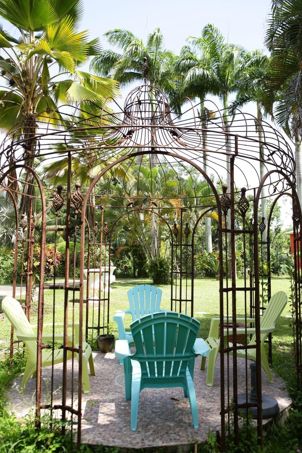 Garden view