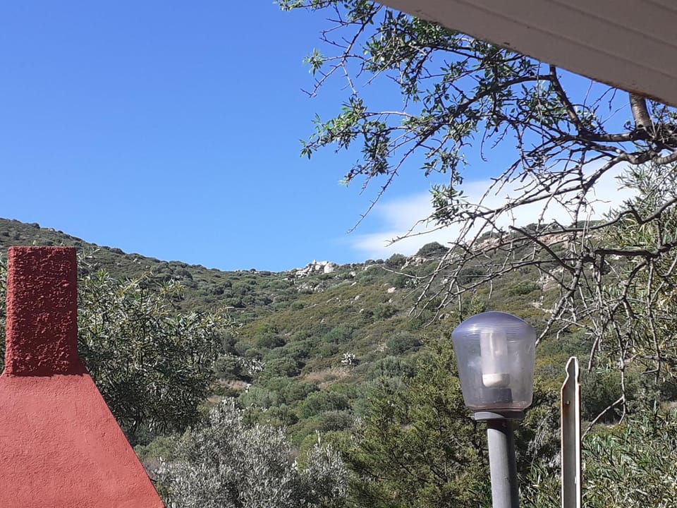 Mountain view