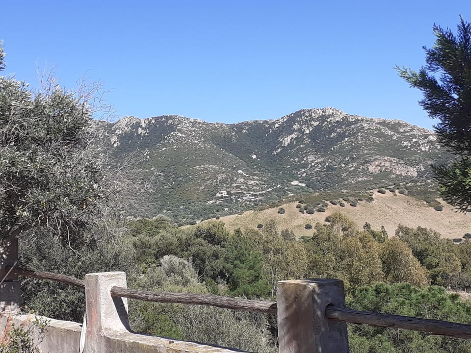 Mountain view