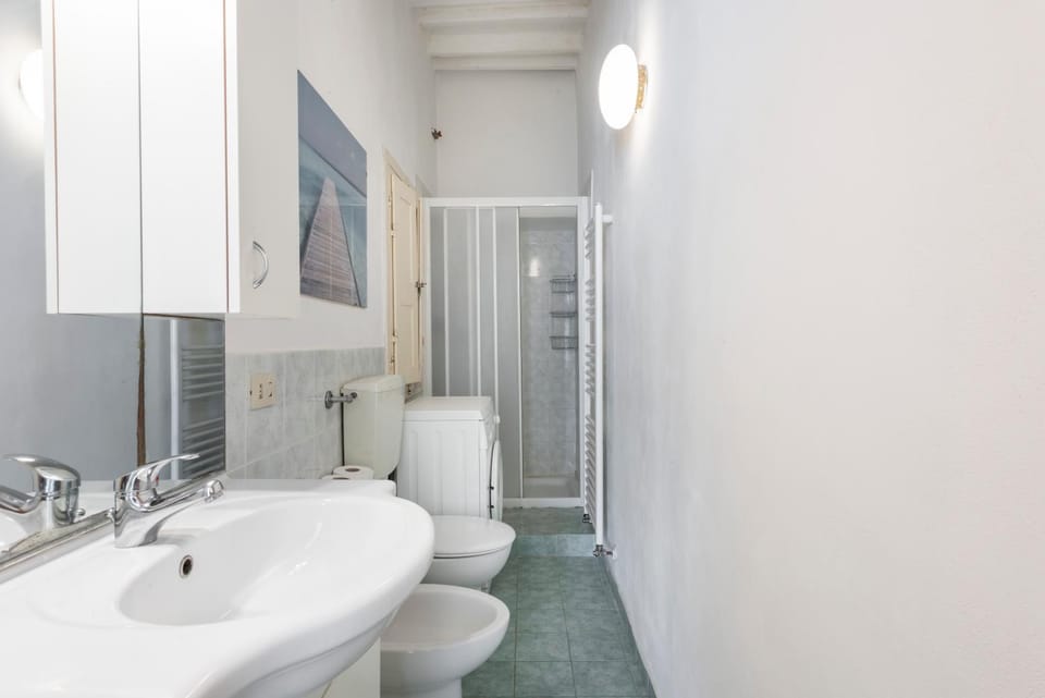 La Lupa Capitolina (100 meters from the tower) Apartment in Pisa