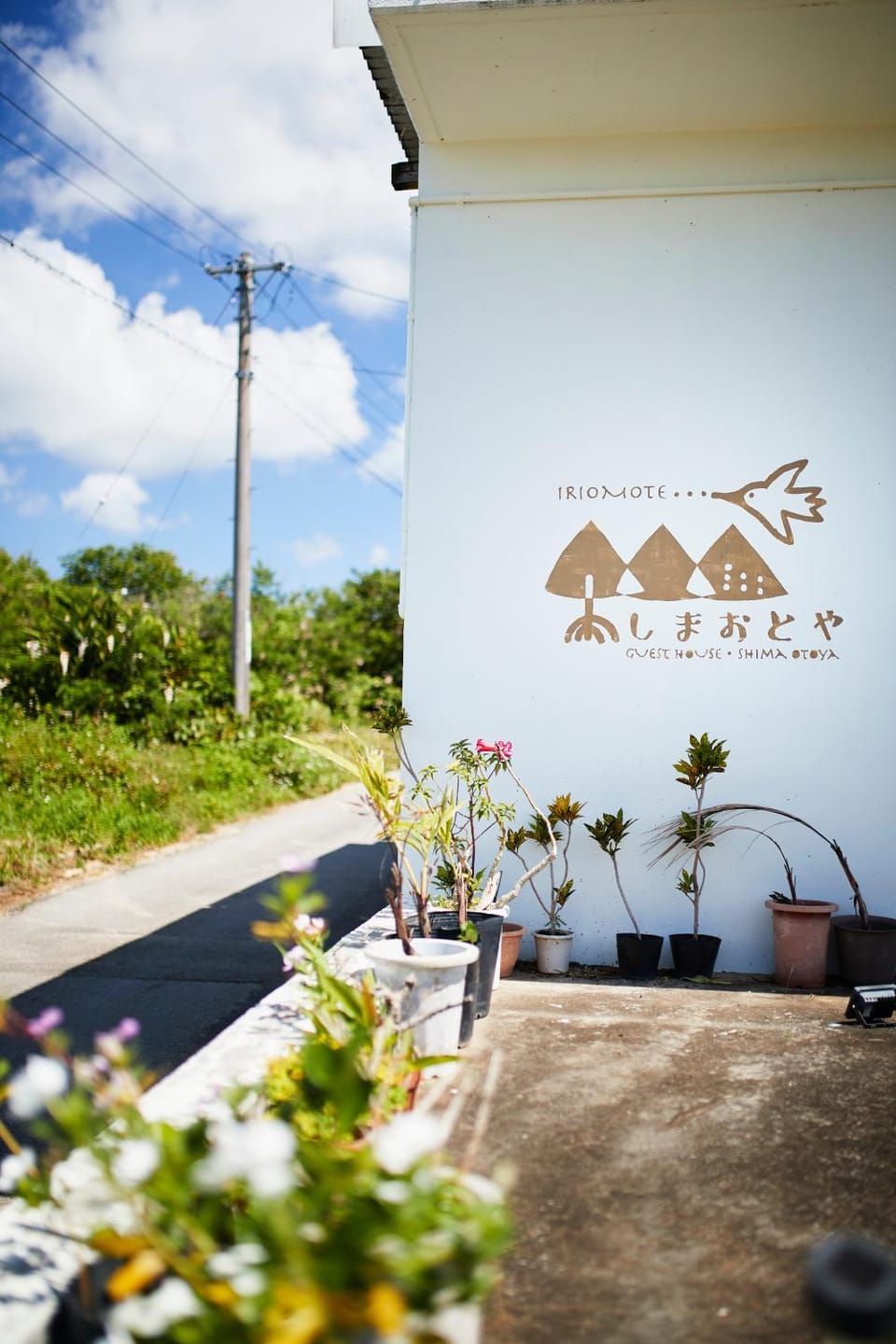 Property logo or sign