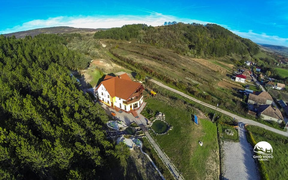 Pensiunea Armonia Bed and Breakfast in Cluj County