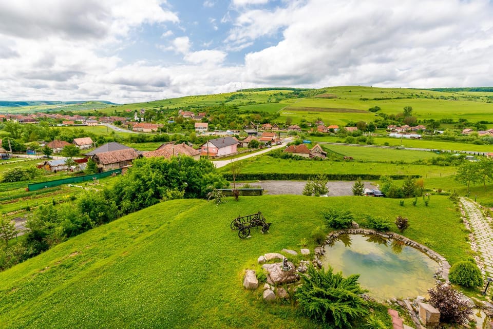 Pensiunea Armonia Bed and Breakfast in Cluj County