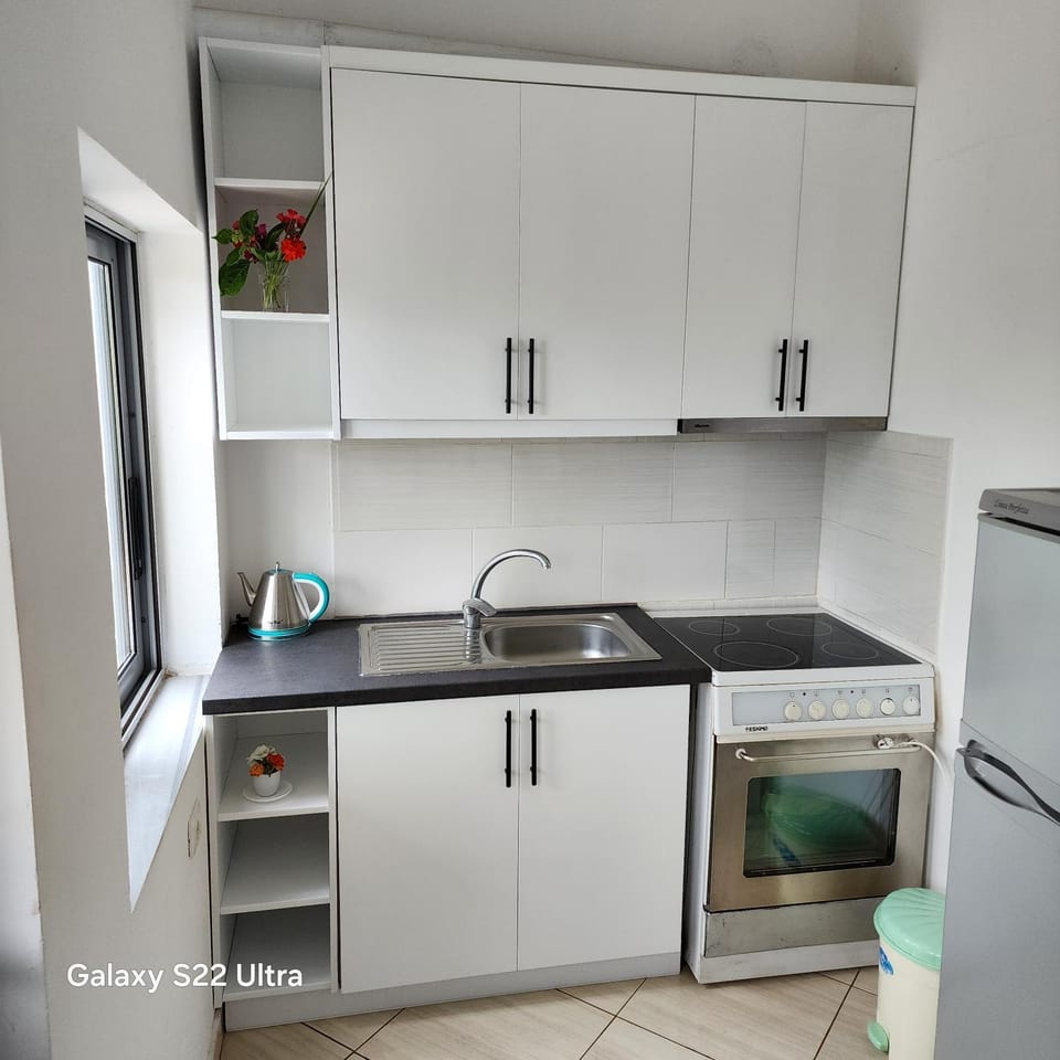 Kitchen or kitchenette, dishwasher, oven, stove