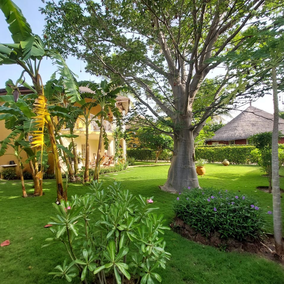 Garden view