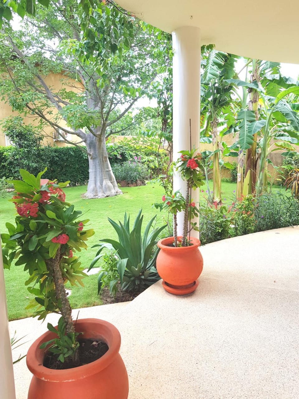 Patio