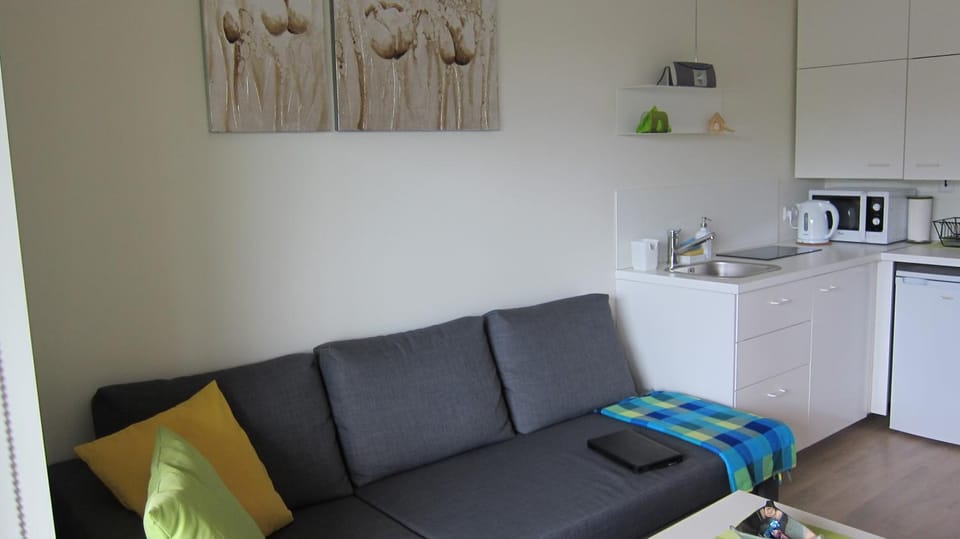 2 kambarių apartamentai Apartment in Palanga