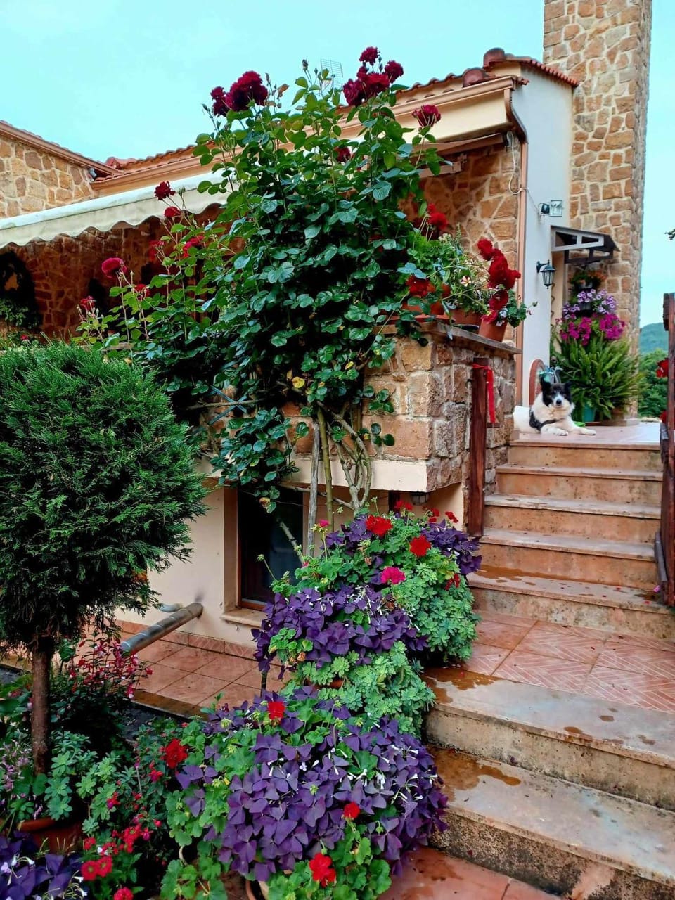 Property building, Garden, Garden view