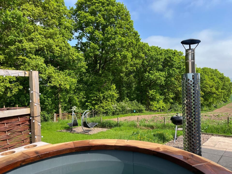 Spring, Garden, Garden view