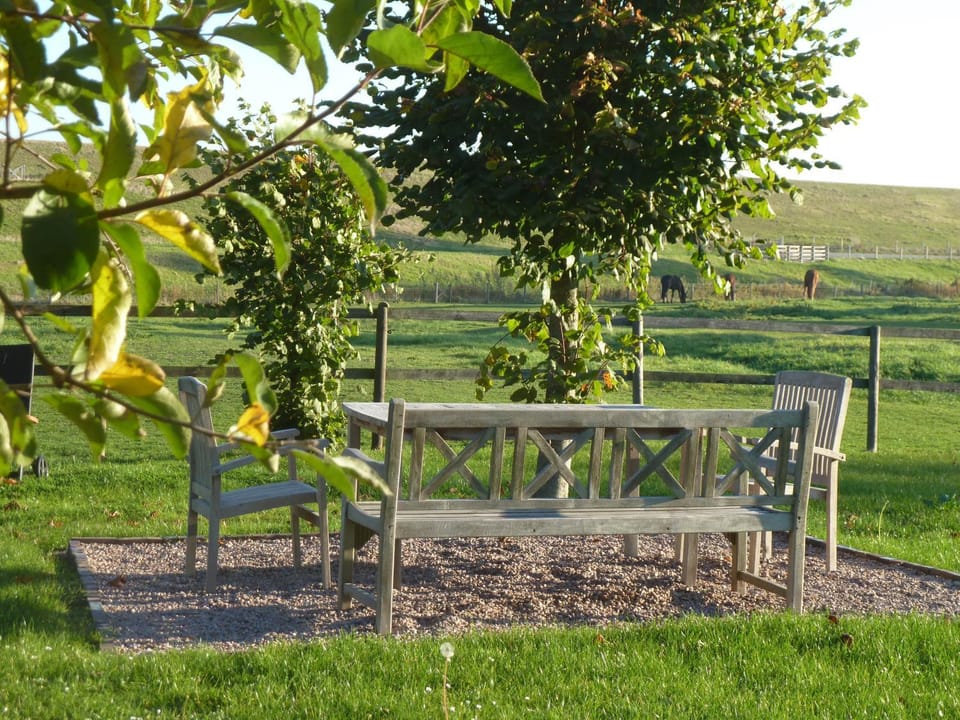 Other, Garden view