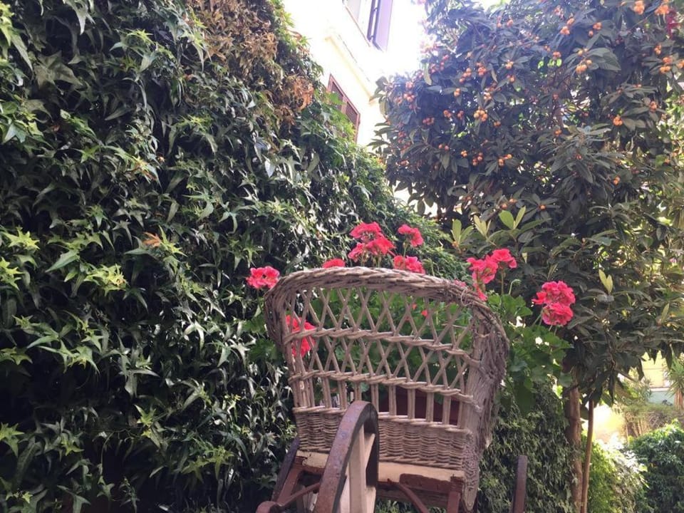 Imperia Suite Bed and Breakfast in Rome