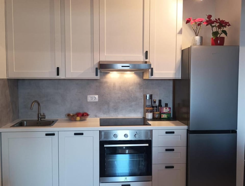 Kitchen or kitchenette, dishwasher, stove
