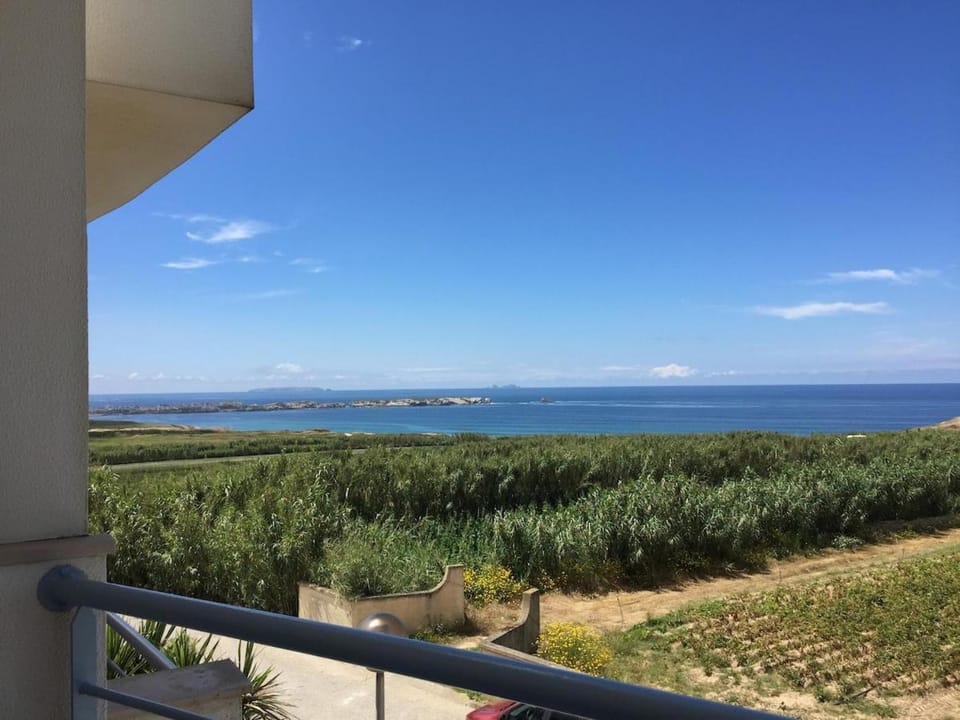 Patio, Garden, Garden view