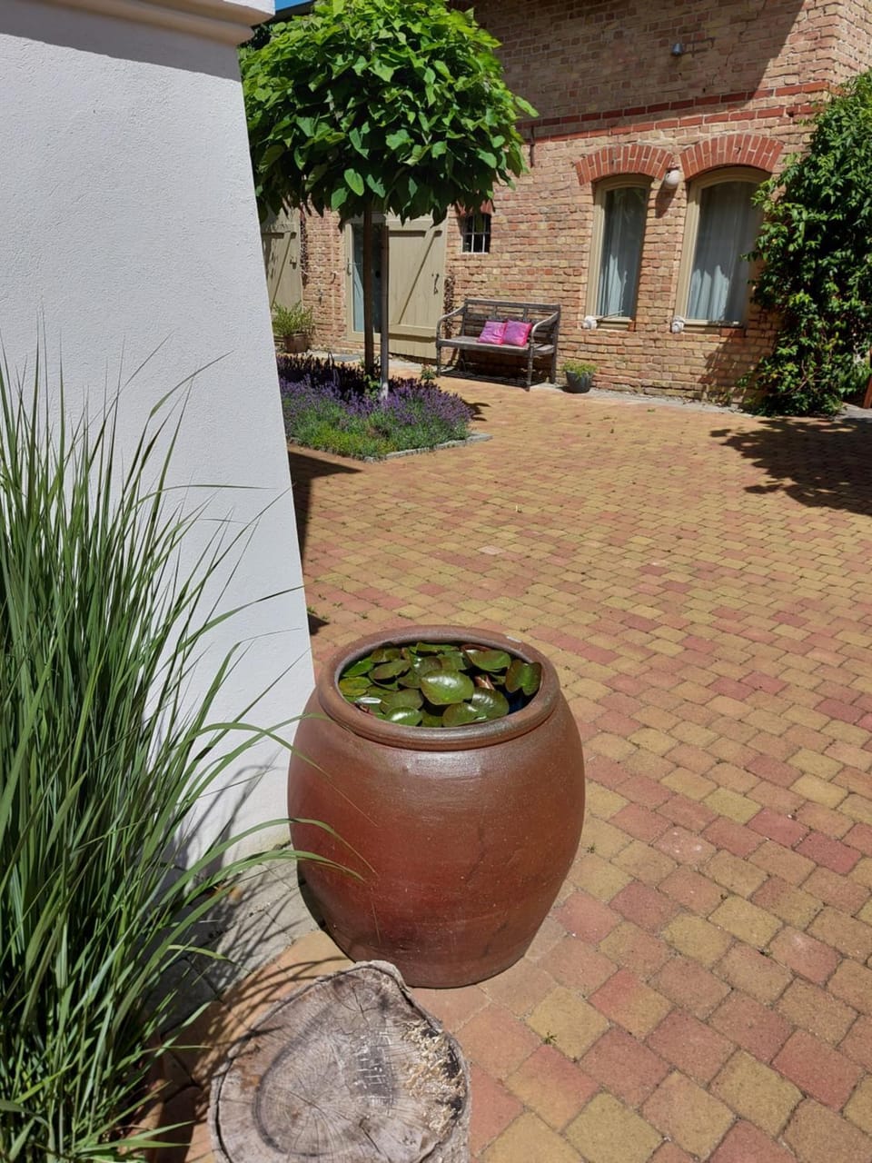 Patio, Garden