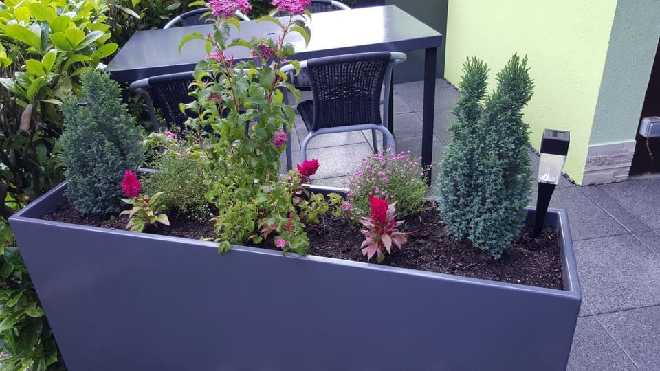 Gite Delphine House in Grand Est