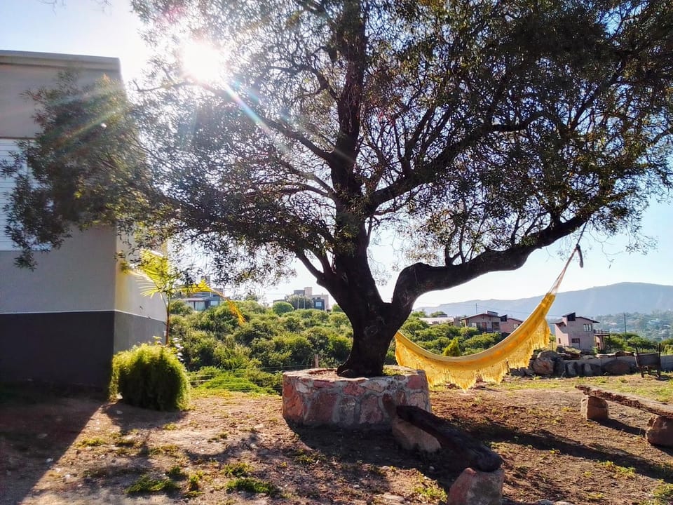 Natural landscape, Garden, Garden, Mountain view