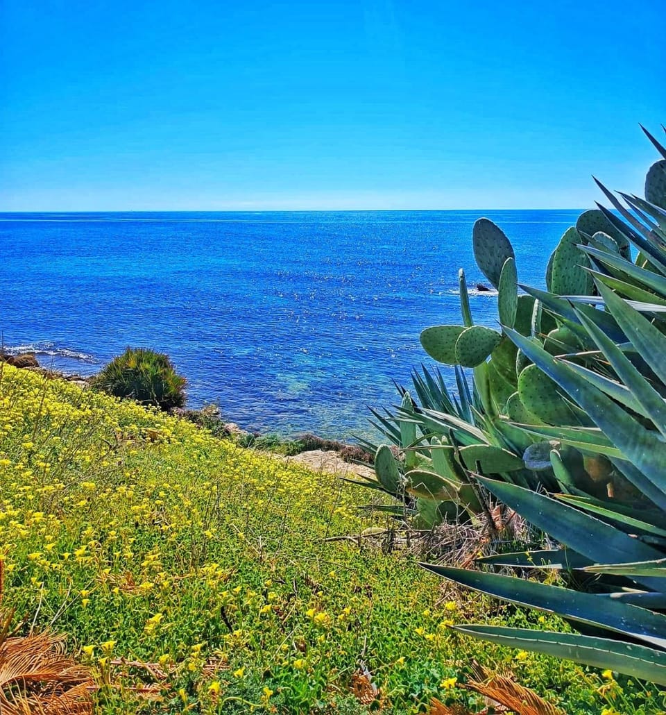 Residence Saccà House in Sicily