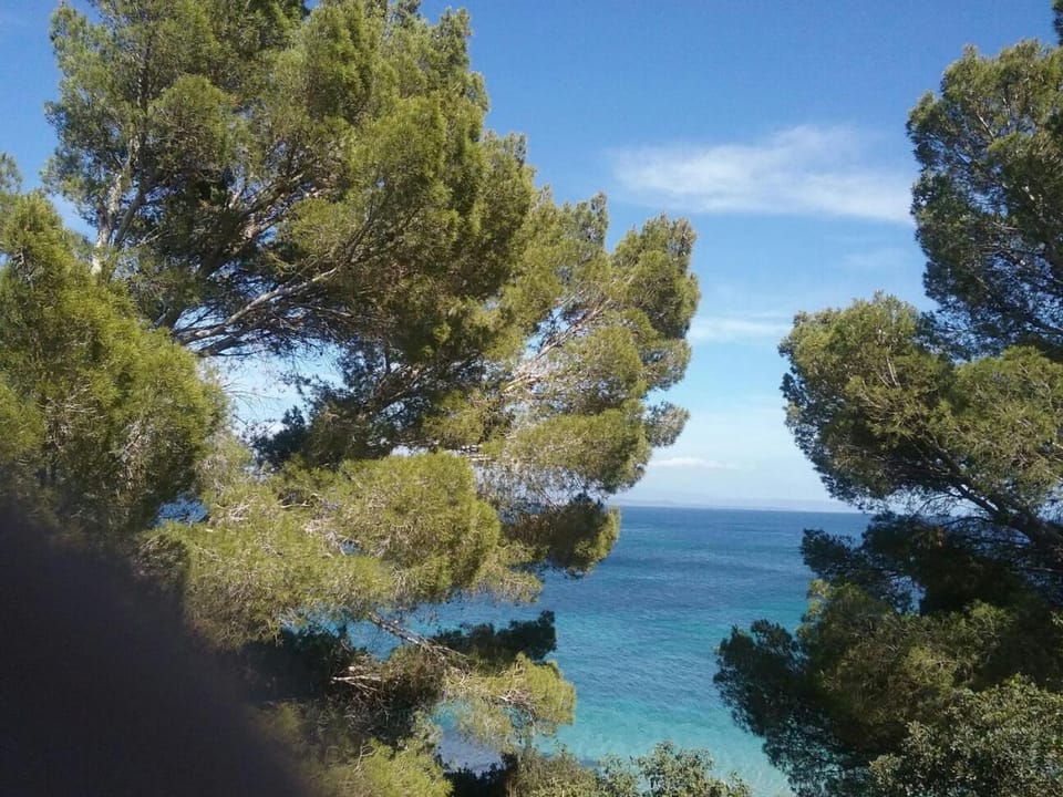 Sea view
