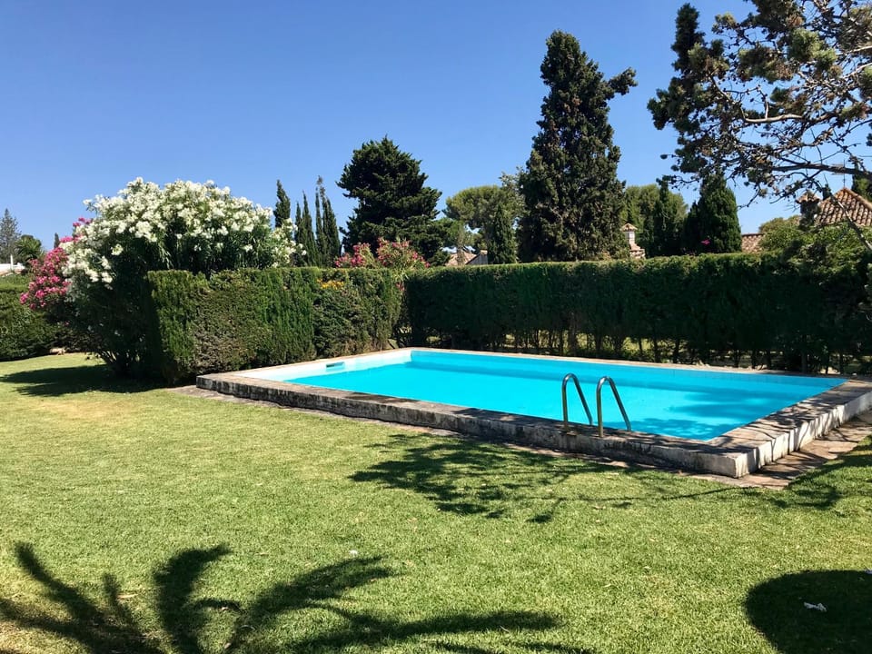 Garden, Swimming pool