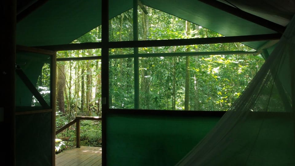 Daintree Crocodylus Nature lodge in Queensland