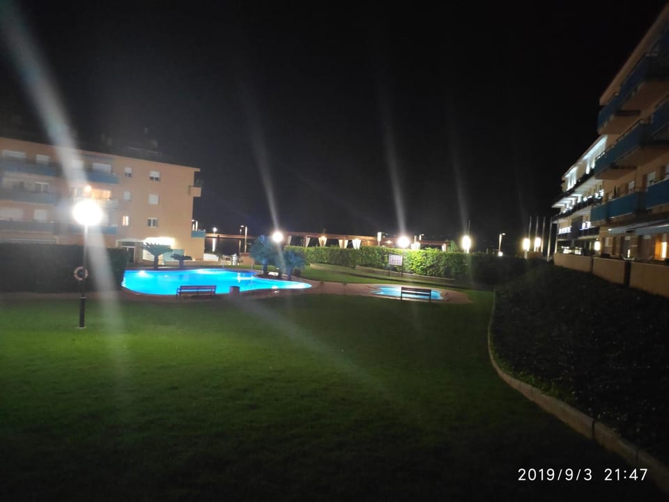 Garden, Swimming pool