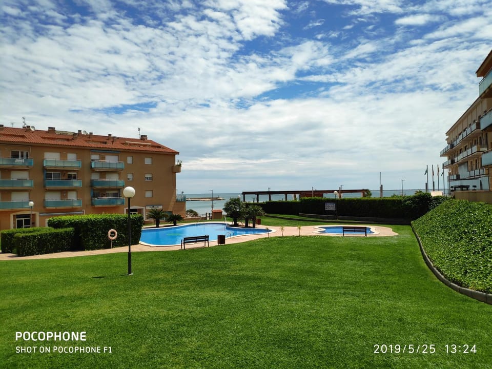 Garden, Swimming pool