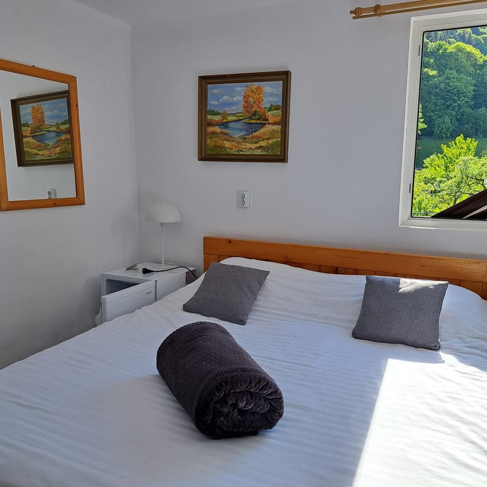 Pensiunea Mateo Bed and Breakfast in Bran