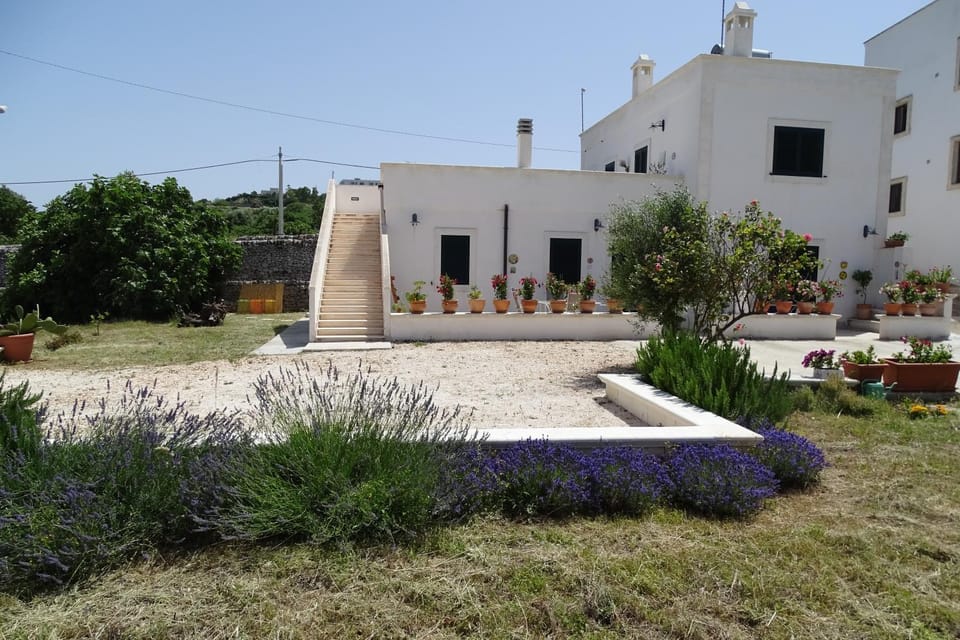 Il Fico d'India dell'Antico orto House in Ostuni
