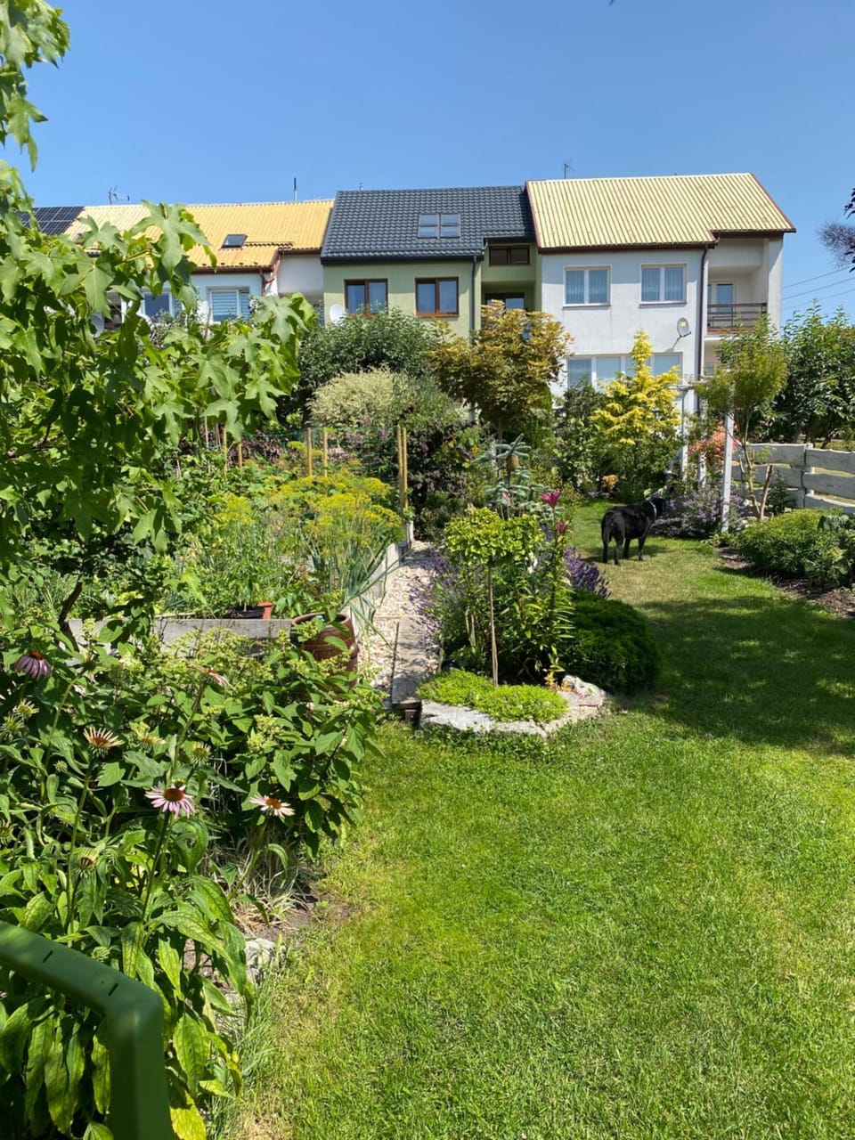 Apartament " POD NIEBIESKIM PAGAJEM " Apartment in Poland