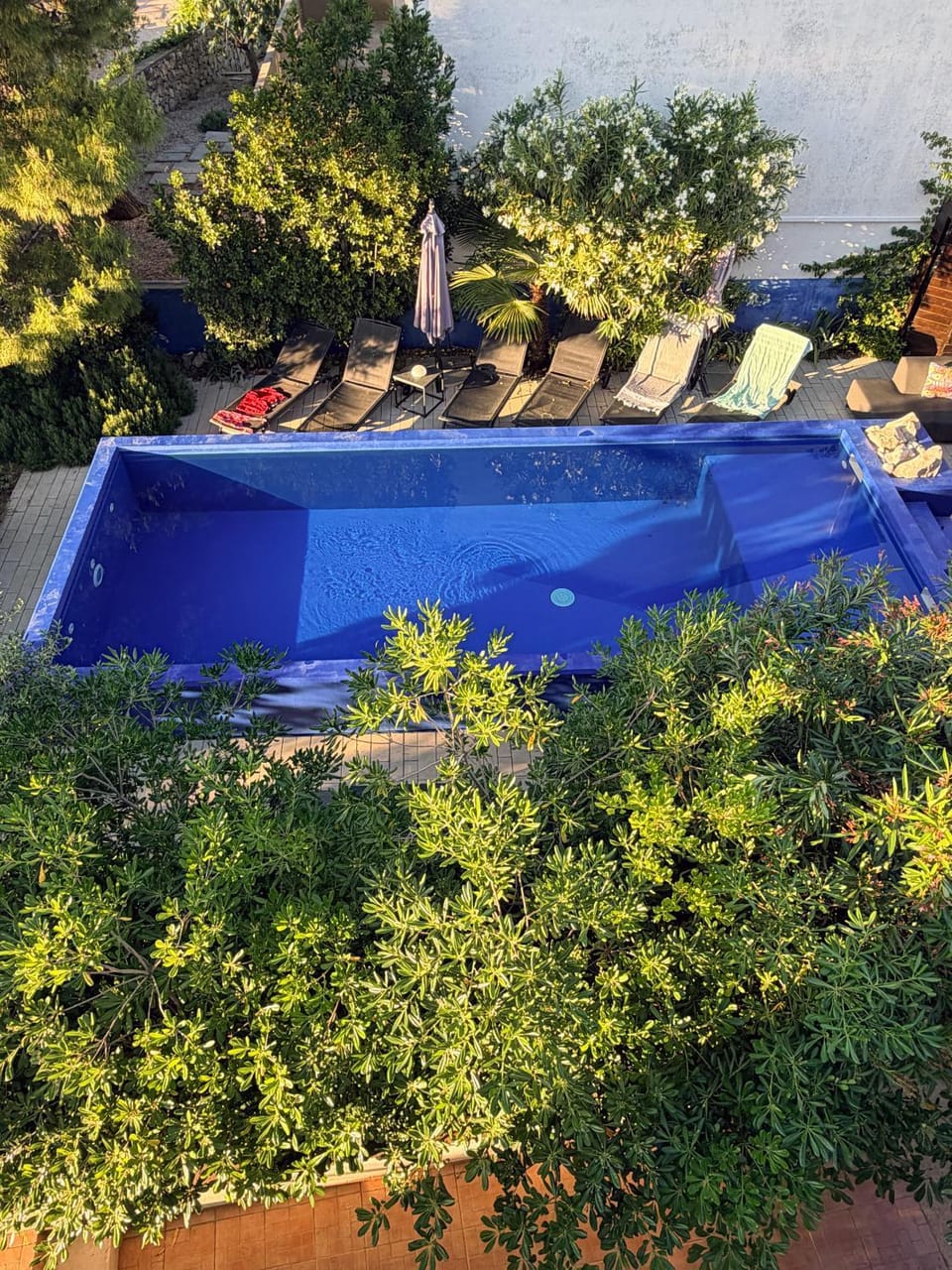 Garden, Swimming pool, sunbed
