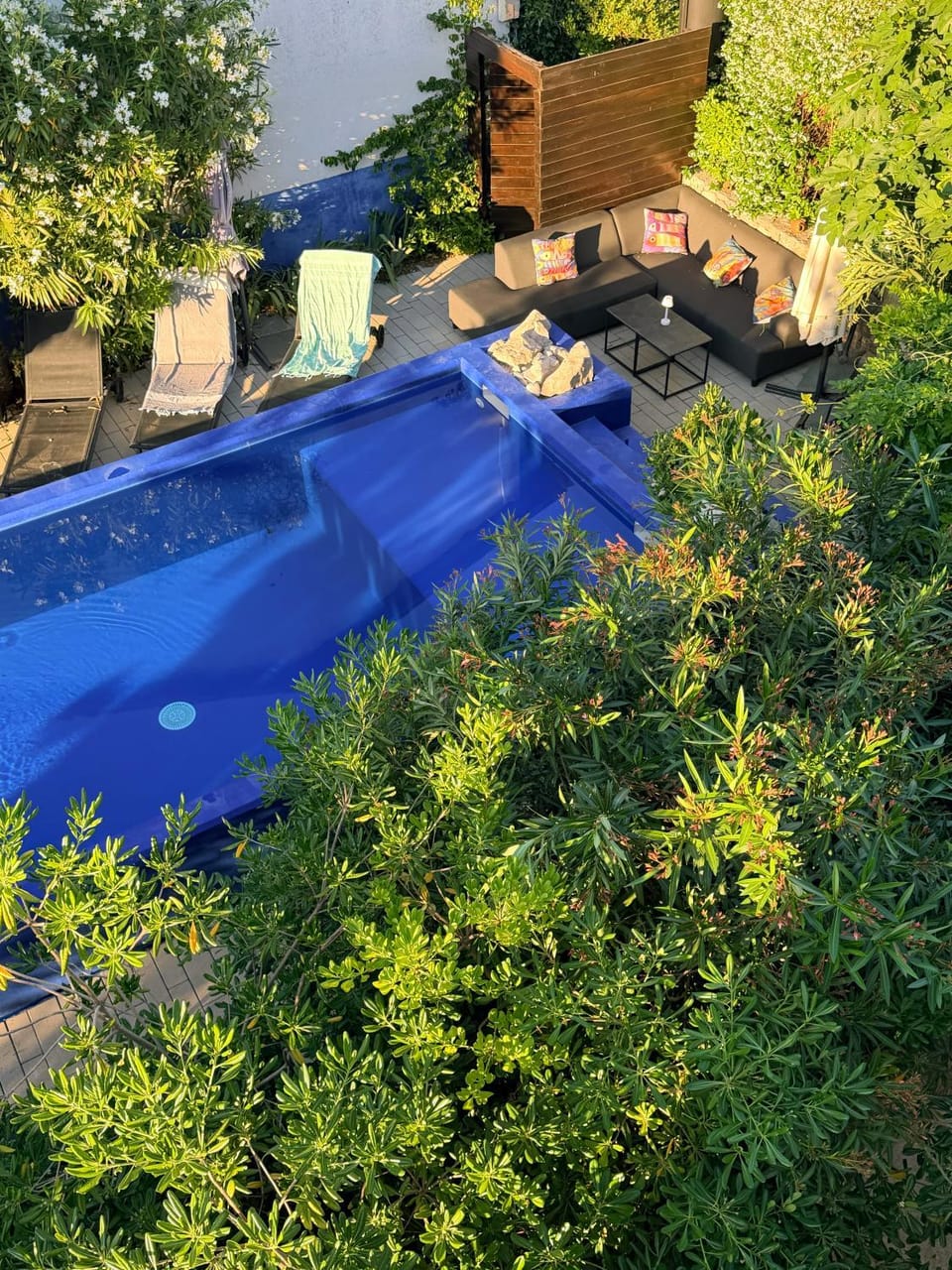 Garden, Swimming pool, sunbed