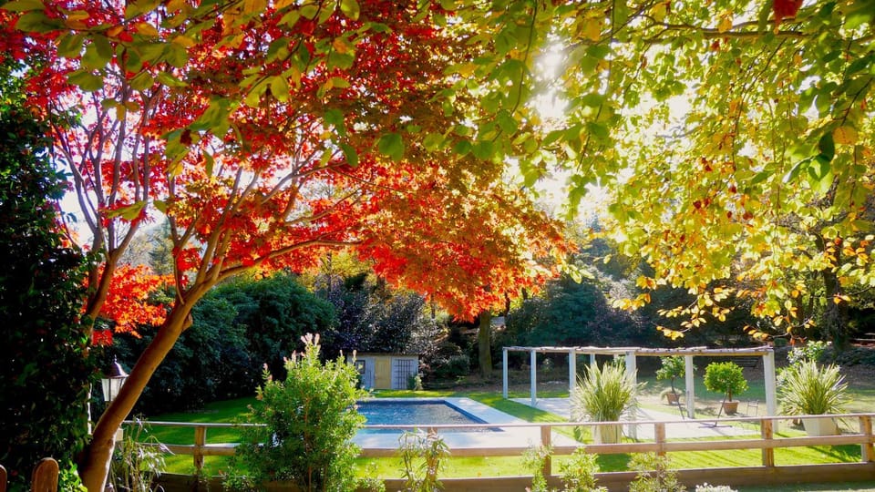 Spring, Natural landscape, Garden, Garden view