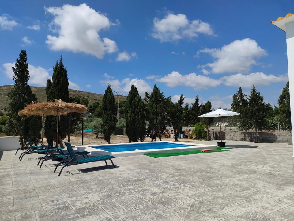 Patio, Day, Natural landscape, Pool view, Swimming pool, sunbed