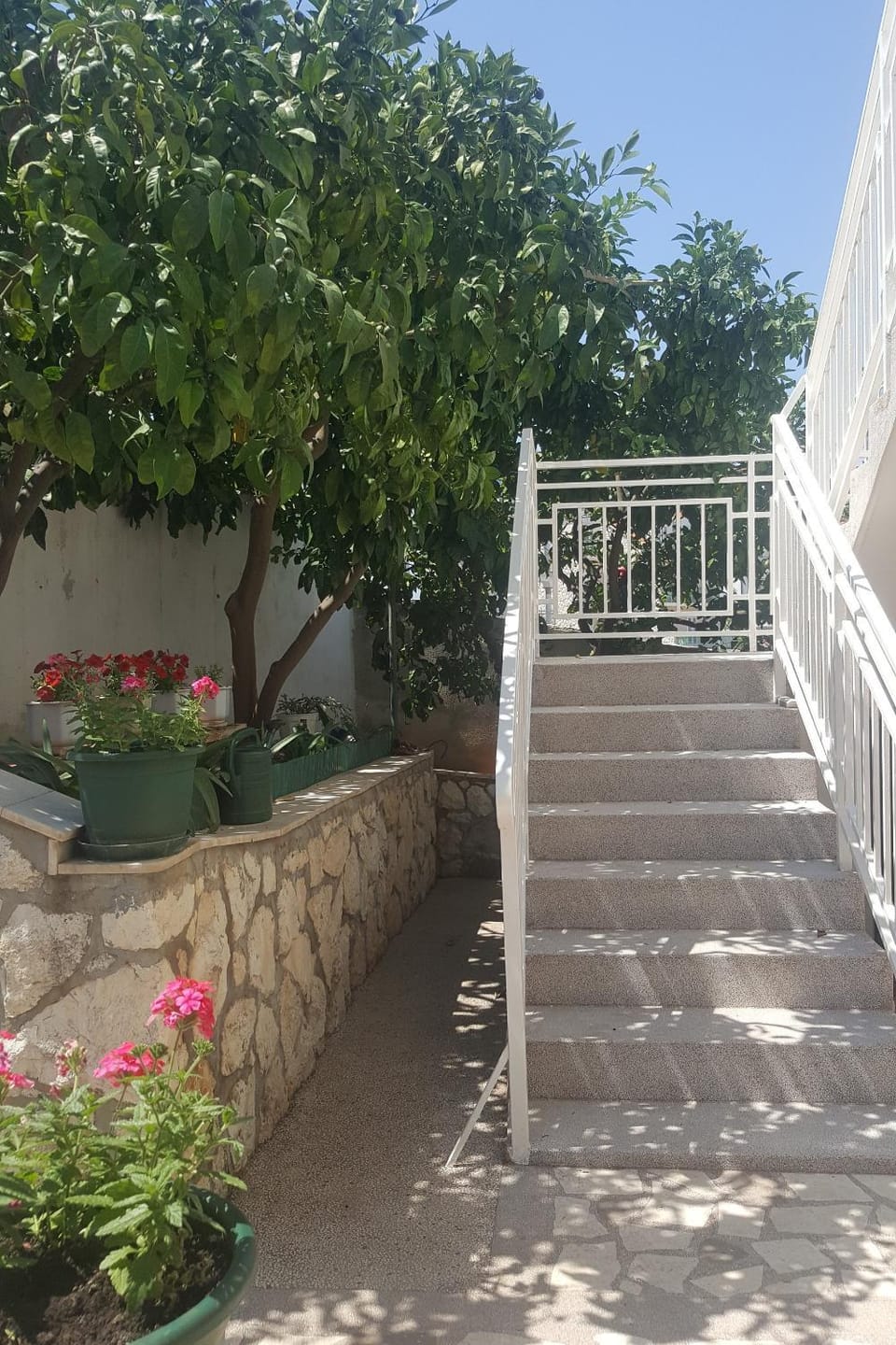 Location, children, Family