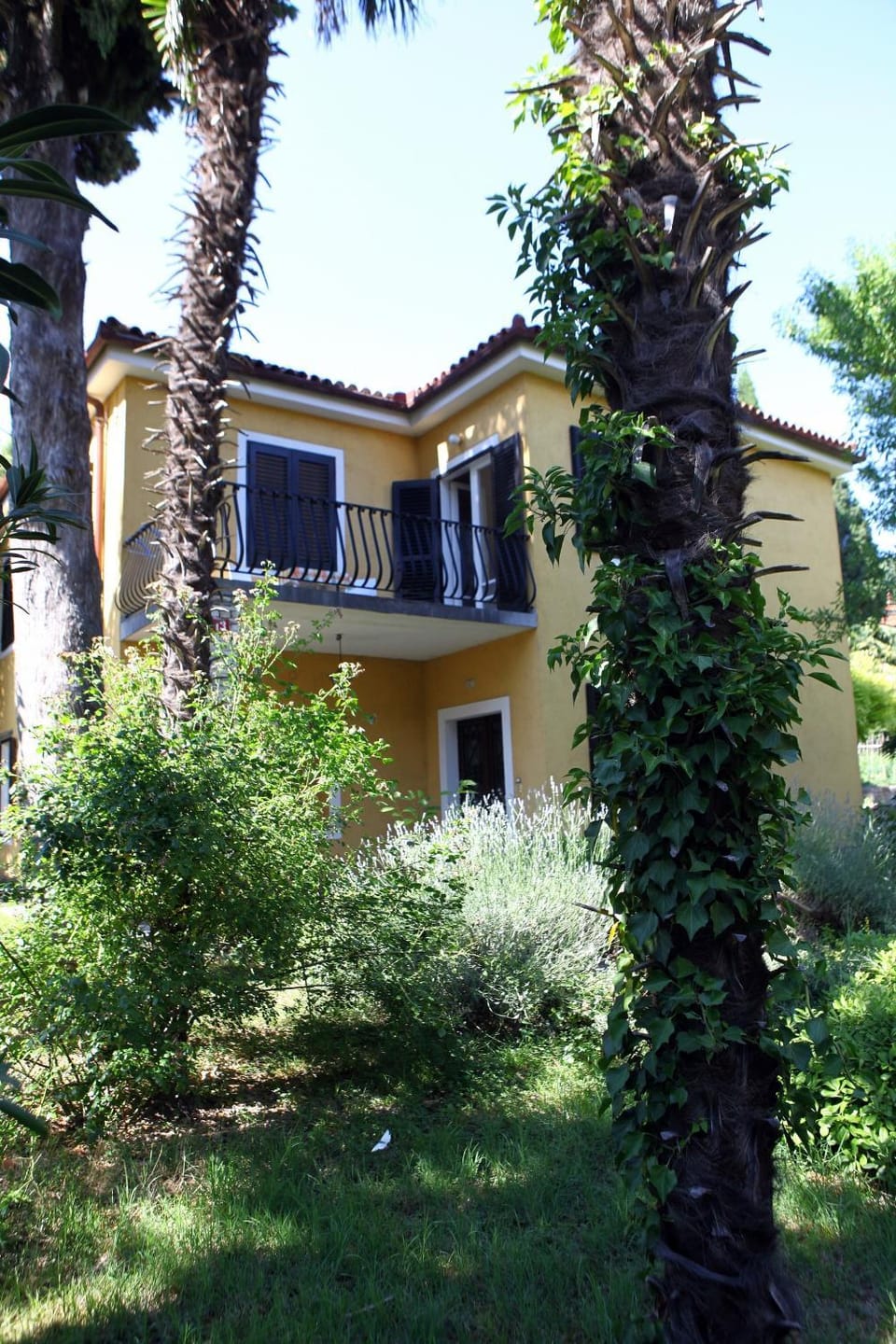 Property building, Facade/entrance, Garden