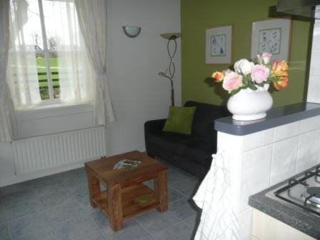 Kitchen or kitchenette, Living room, Seating area, stove