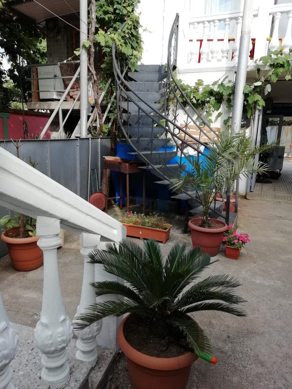 Lile Bed and Breakfast in Batumi