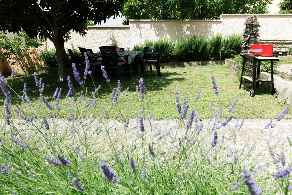 BBQ facilities, Garden, Garden view