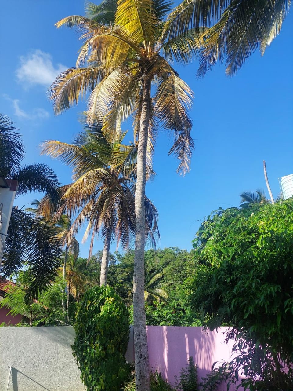 The Vicarage Villa in Mirissa