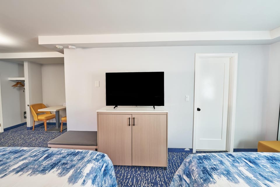 TV and multimedia