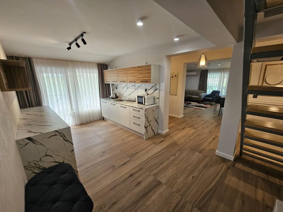 TV and multimedia, Kitchen or kitchenette, Living room, Photo of the whole room, Seating area