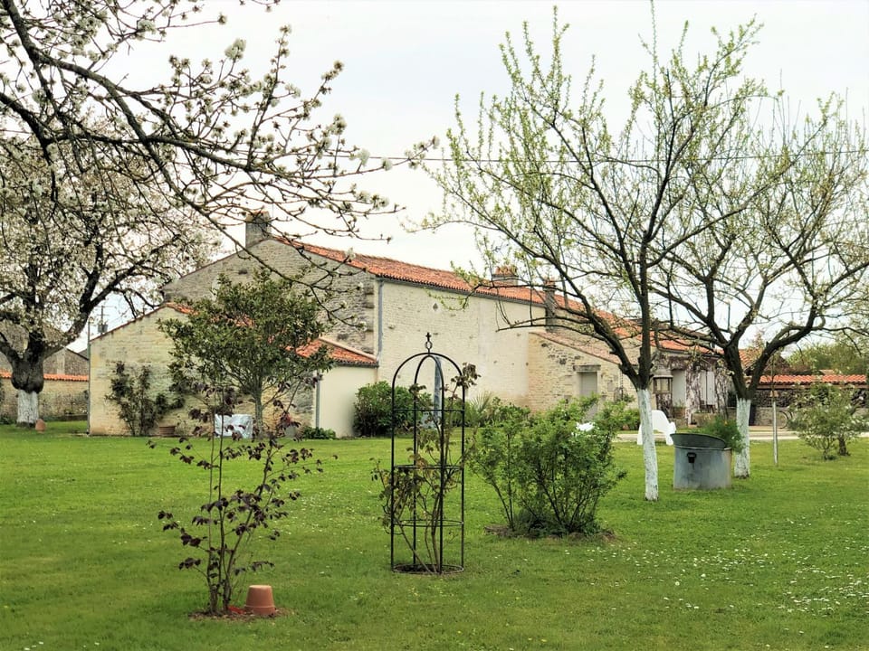 Property building, Garden