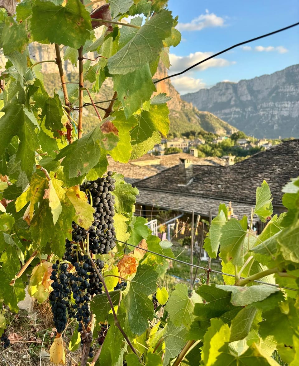 Morfeas Guesthouse Bed and Breakfast in North Macedonia