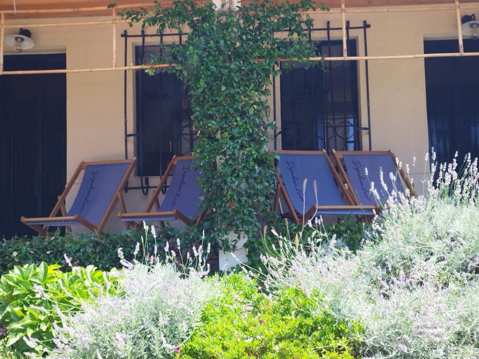 Garden, Garden view, sunbed
