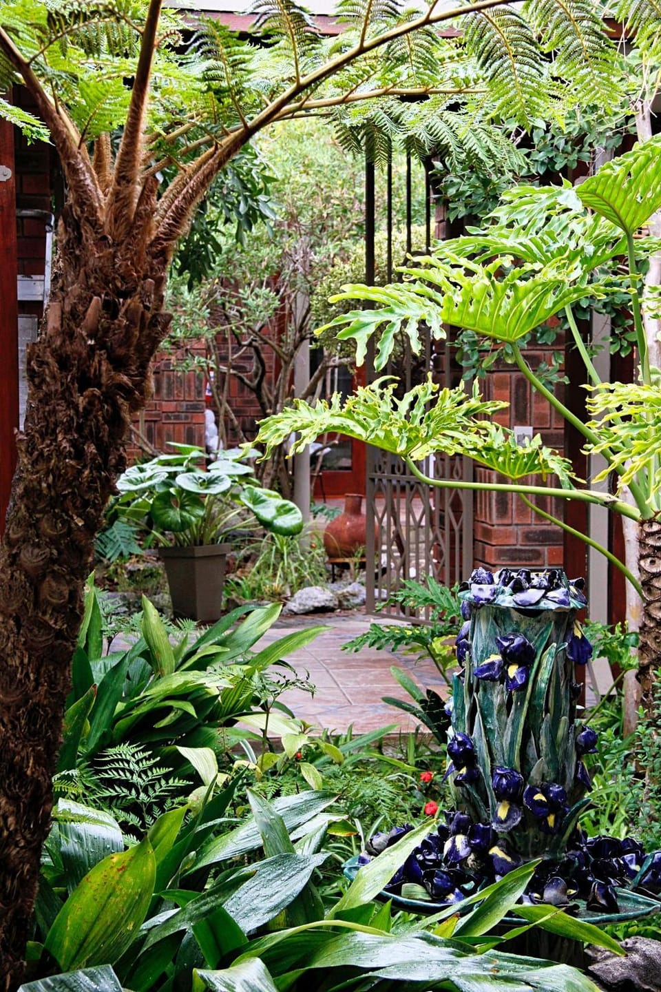 Kambaku @ Sea Bed and Breakfast in Eastern Cape