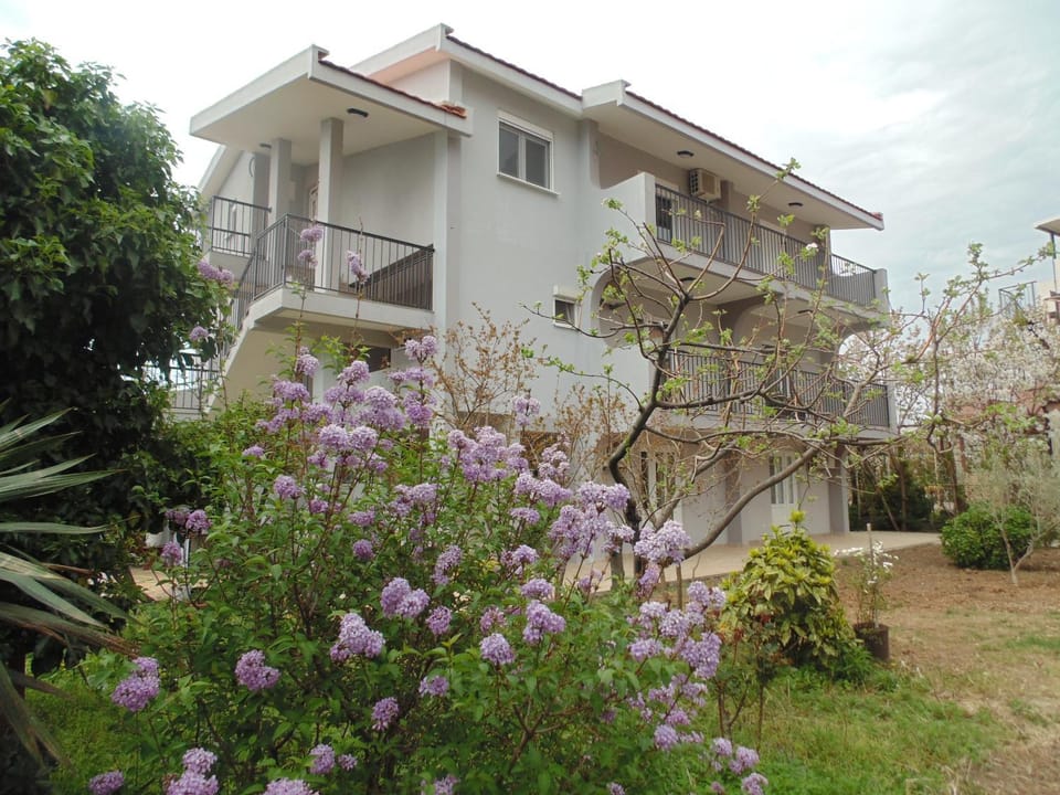 3rooms,11 people Apartment in Montenegro