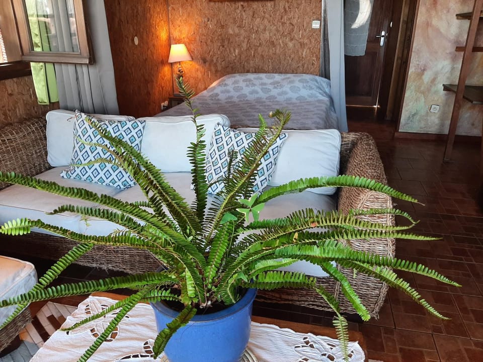 Les bungalows de la kazouale Bed and Breakfast in Saint-Leu